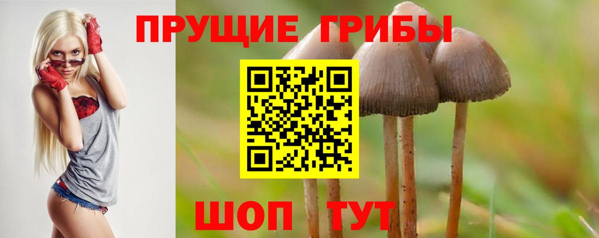 Псилоцибиновые грибы мицелий  Галлюциногенные грибы мицелий  купить наркоту  Новоуральск  Вход с VPN 